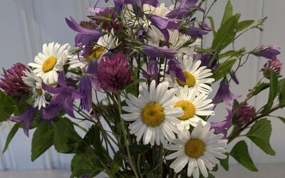TREVLIG MIDSOMMAR