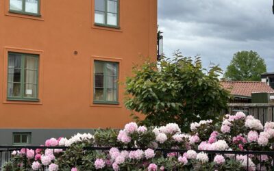 Ledig lägenhet i Örebro, Agreliusvägen 1